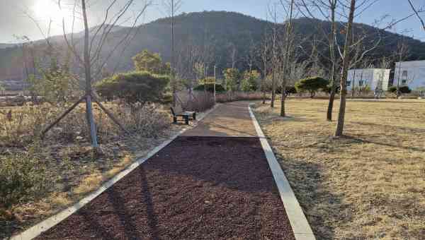 통영시, 도산면에 230m 맨발걷기길 조성… 오감으로 즐기는 힐링 공간 탄생 기사 이미지
